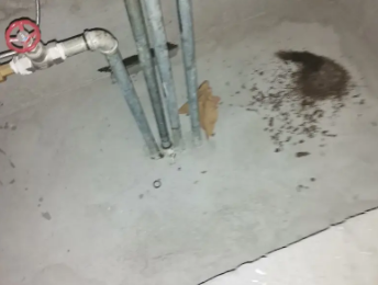 马鞍山市卫生间测漏水价格明细